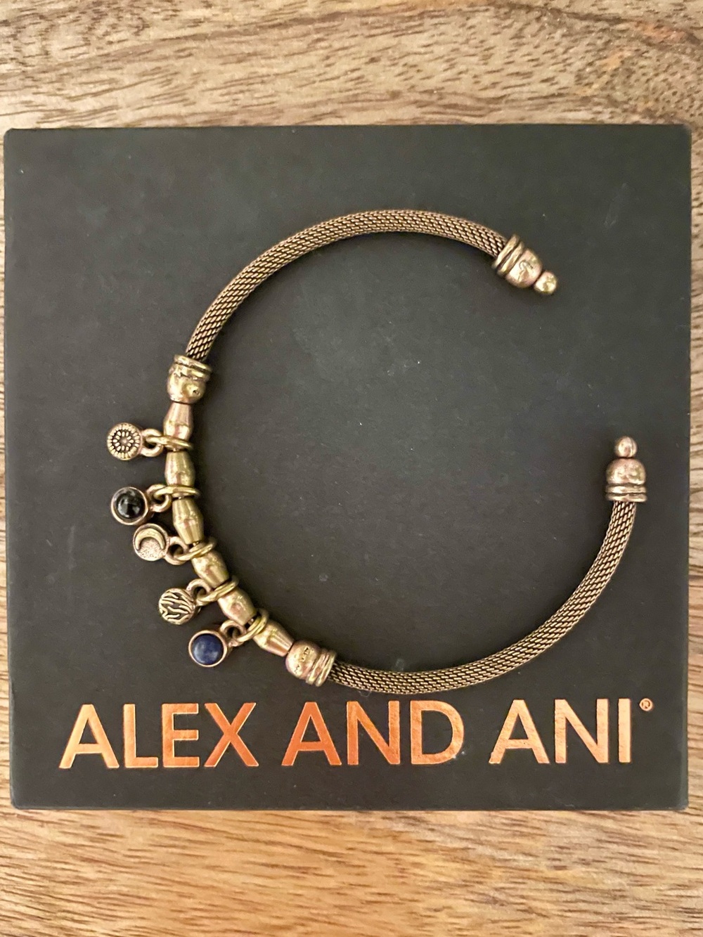 Alex and Ani Moon Charm Mesh Cuff Bracelet